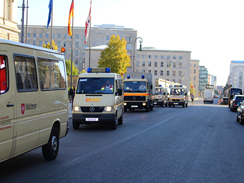 20190923_Rostlaubenaktion__IMG_4072_cJSchol_800x600.jpg