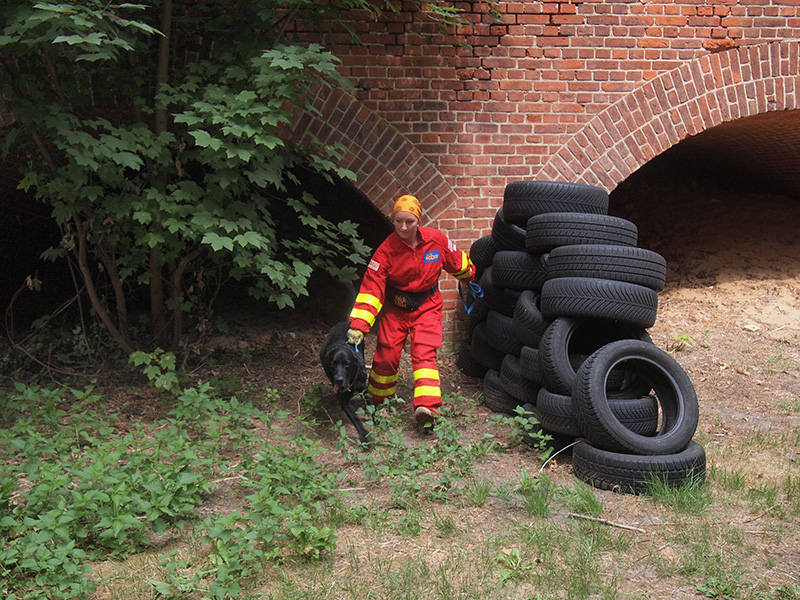 Rettungshund4.jpg