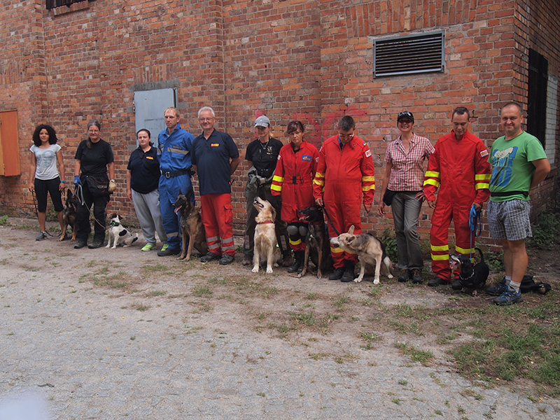 Rettungshund3.jpg