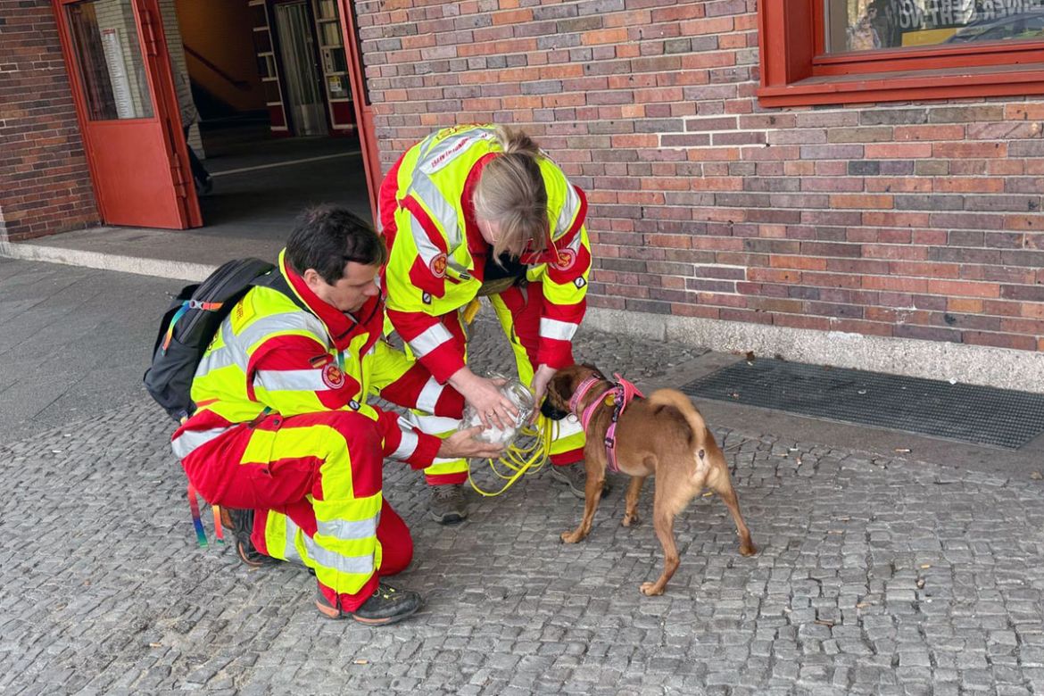 20250310_Einsatz-Personensuche_c-ASB-Rettungshundestaffel-2025.jpg